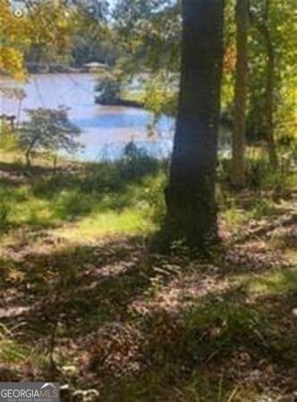 48 Franklin Road Eatonton, GA 31024 - Photo 3 of 4 Gallery Image 3