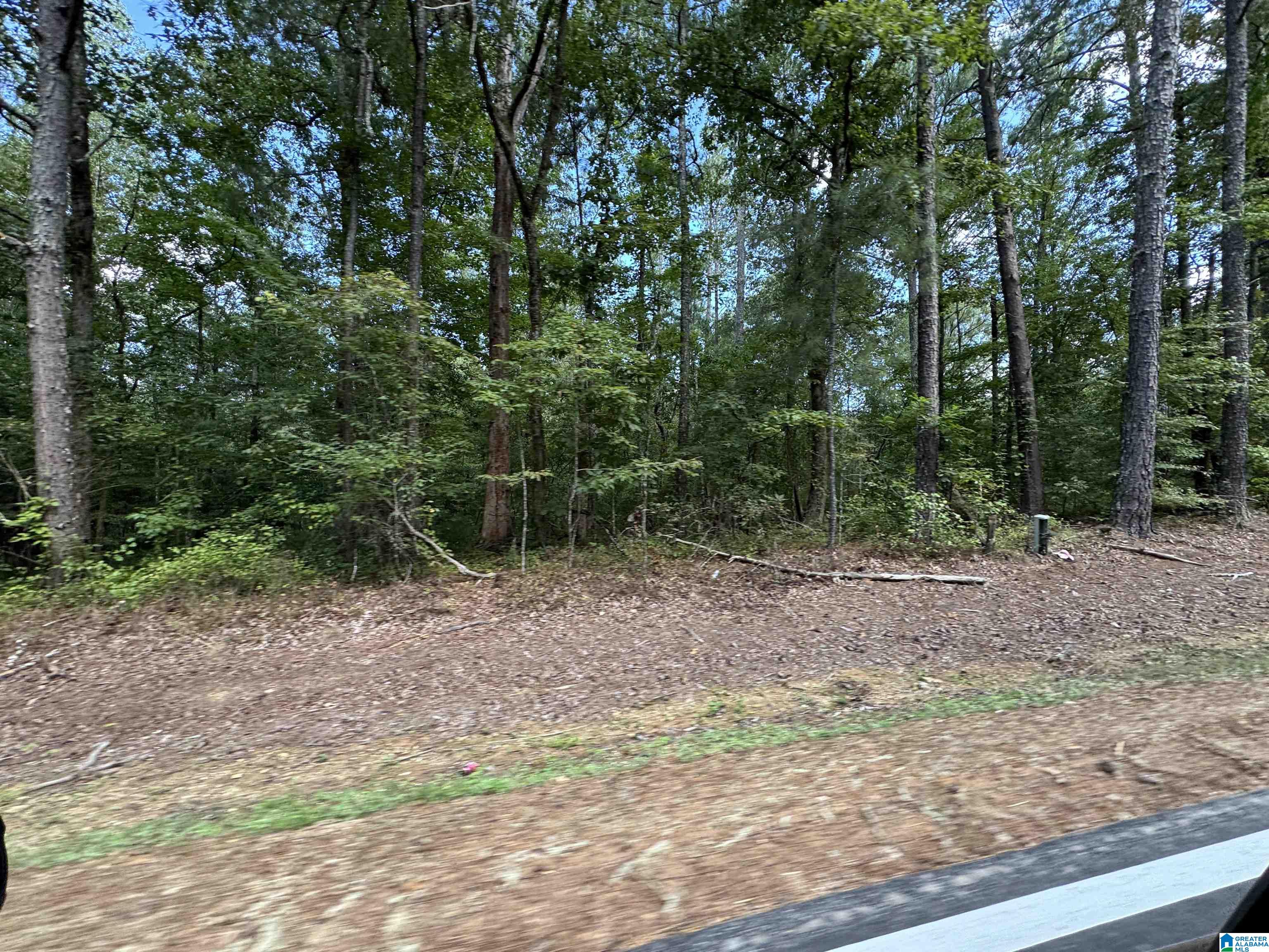 20394 County Road 55 Sterrett, AL 35147 - Photo 22 of 43