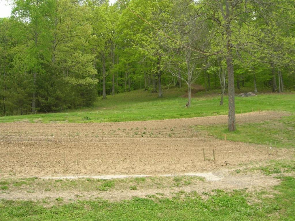 894 Butcher Valley Road Rogersville, TN 37857 - Photo 20 of 23 Photo 20