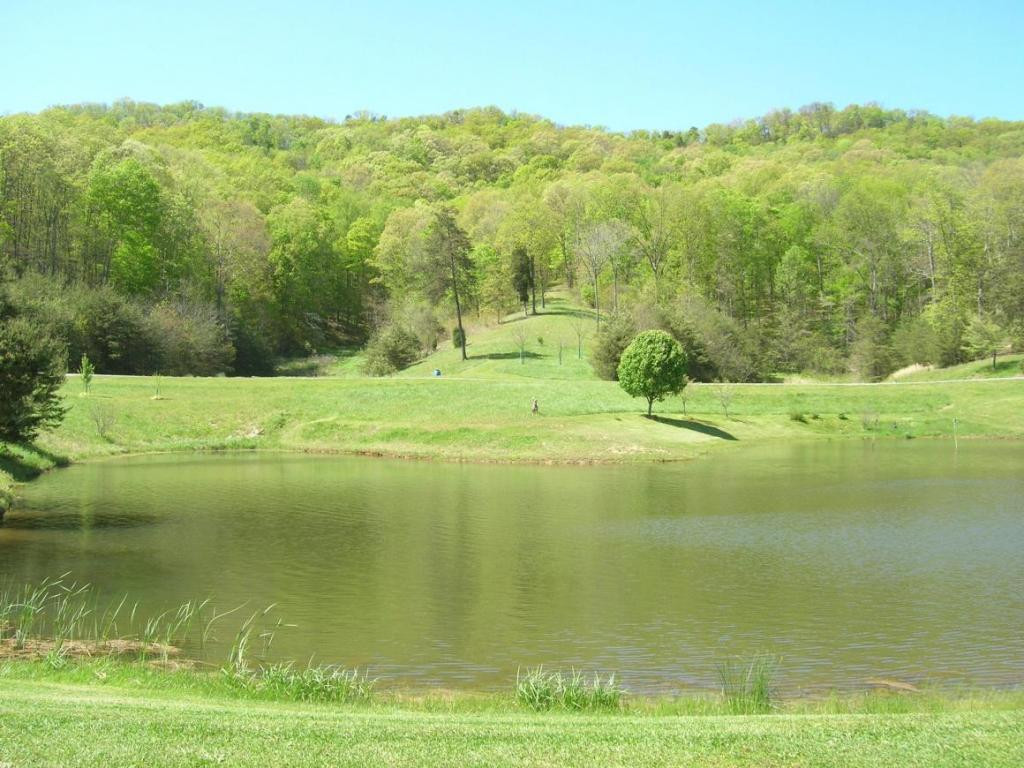894 Butcher Valley Road Rogersville, TN 37857 - Photo 21 of 23 Photo 21