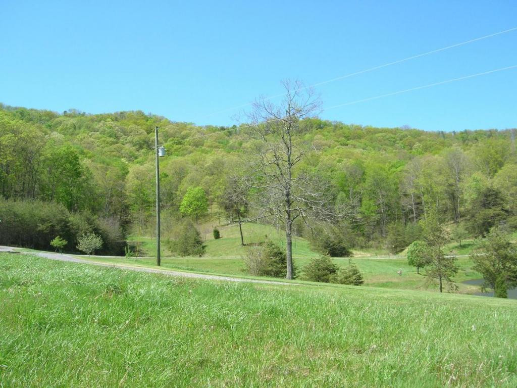 894 Butcher Valley Road Rogersville, TN 37857 - Photo 23 of 23 Photo 24