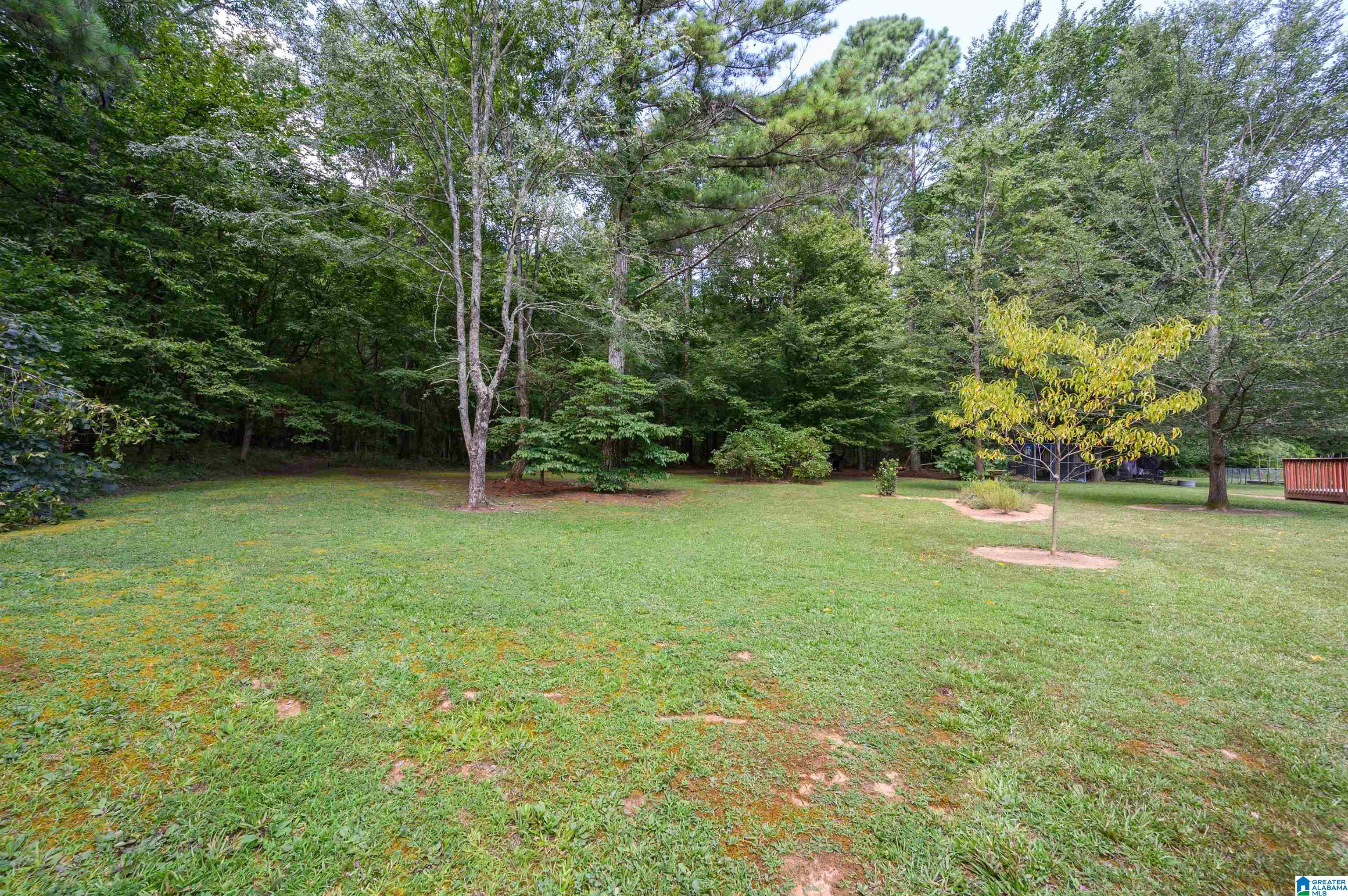 4557 County Road 9 Hayden, AL 35079 - Photo 50 of 66