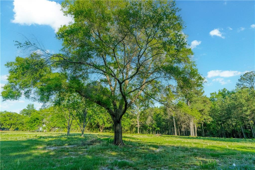 264 Williams Loop Waycross, GA 31503 - Photo 21 of 33