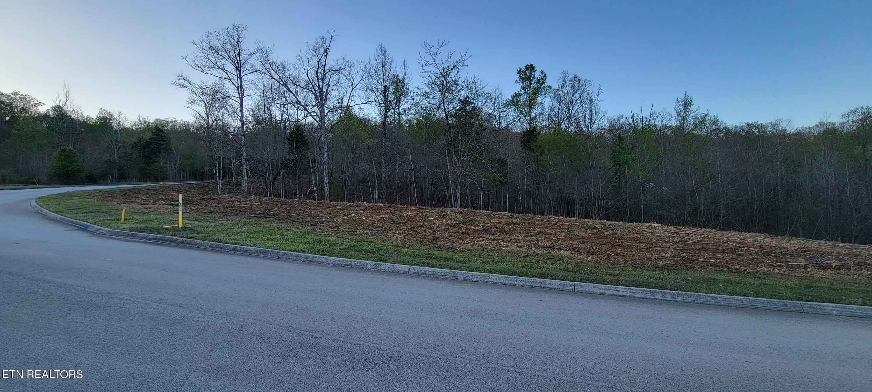 308 Caney View Drive Harriman, TN 37748 - Photo 11 of 59 20240412_193844