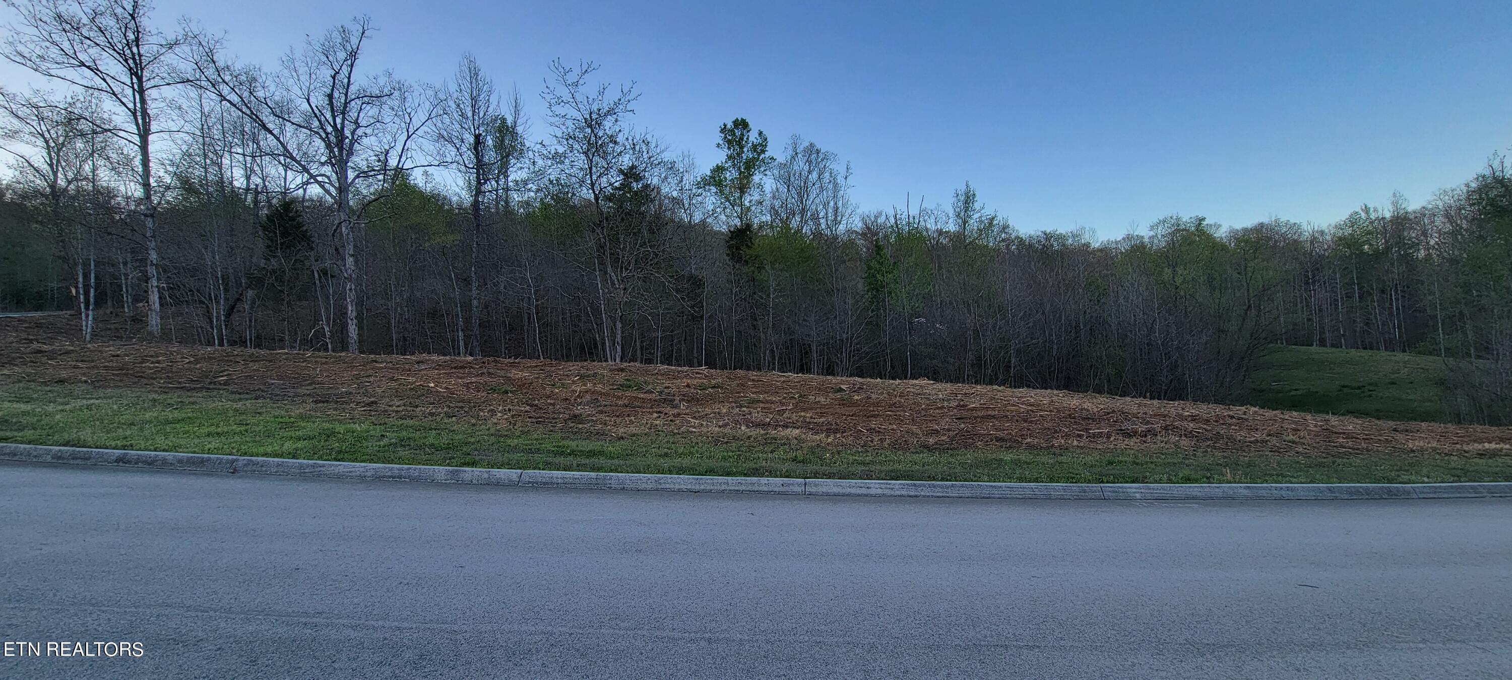 308 Caney View Drive Harriman, TN 37748 - Photo 12 of 59 20240412_193846