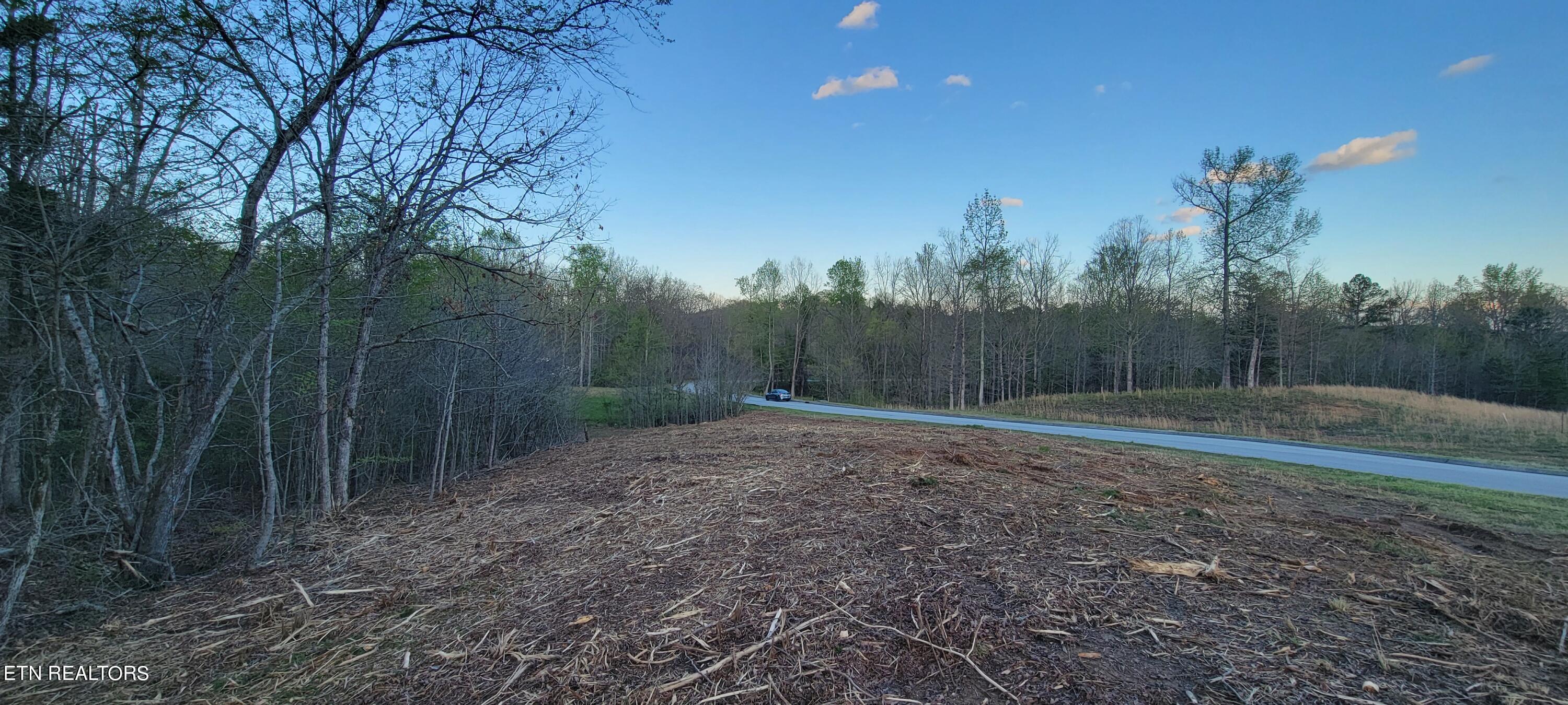 308 Caney View Drive Harriman, TN 37748 - Photo 13 of 59 20240412_193634