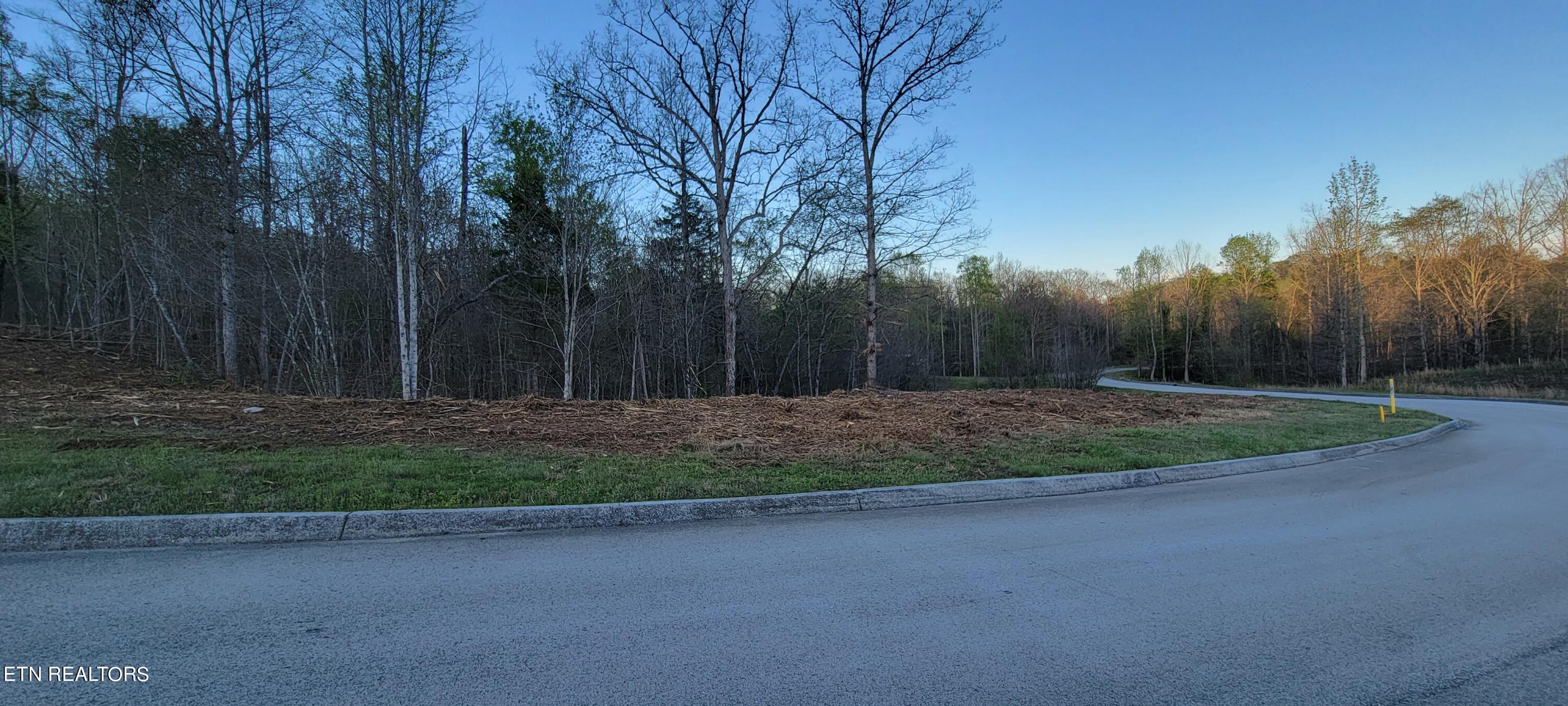 308 Caney View Drive Harriman, TN 37748 - Photo 14 of 59 20240412_192538