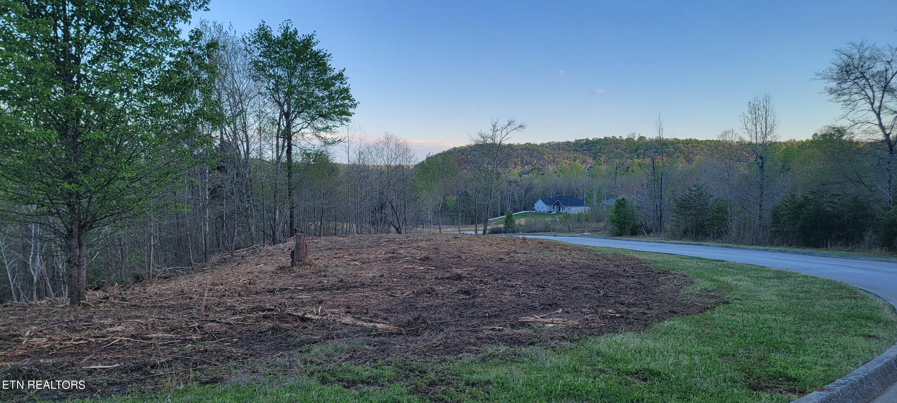 308 Caney View Drive Harriman, TN 37748 - Photo 15 of 59 20240412_192438