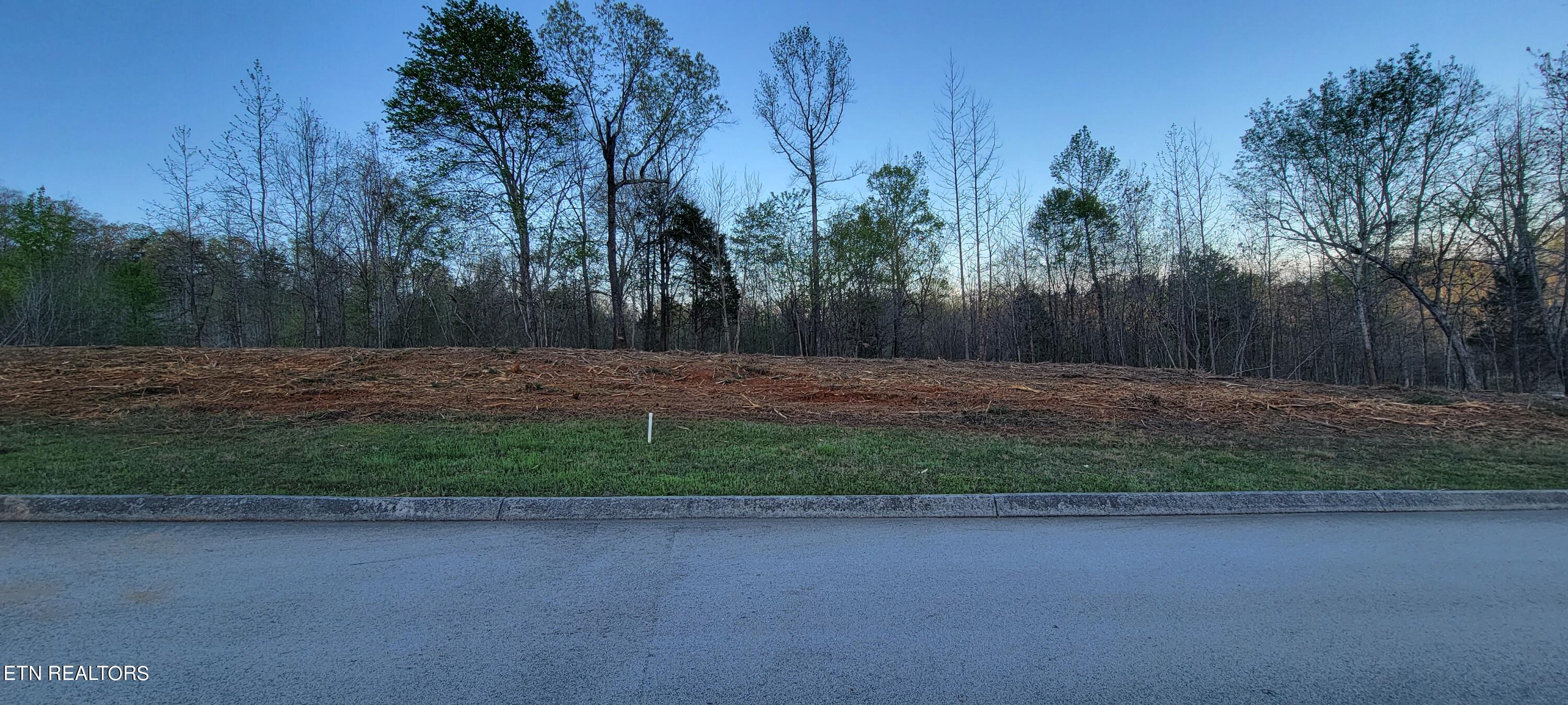 308 Caney View Drive Harriman, TN 37748 - Photo 16 of 59 20240412_192511