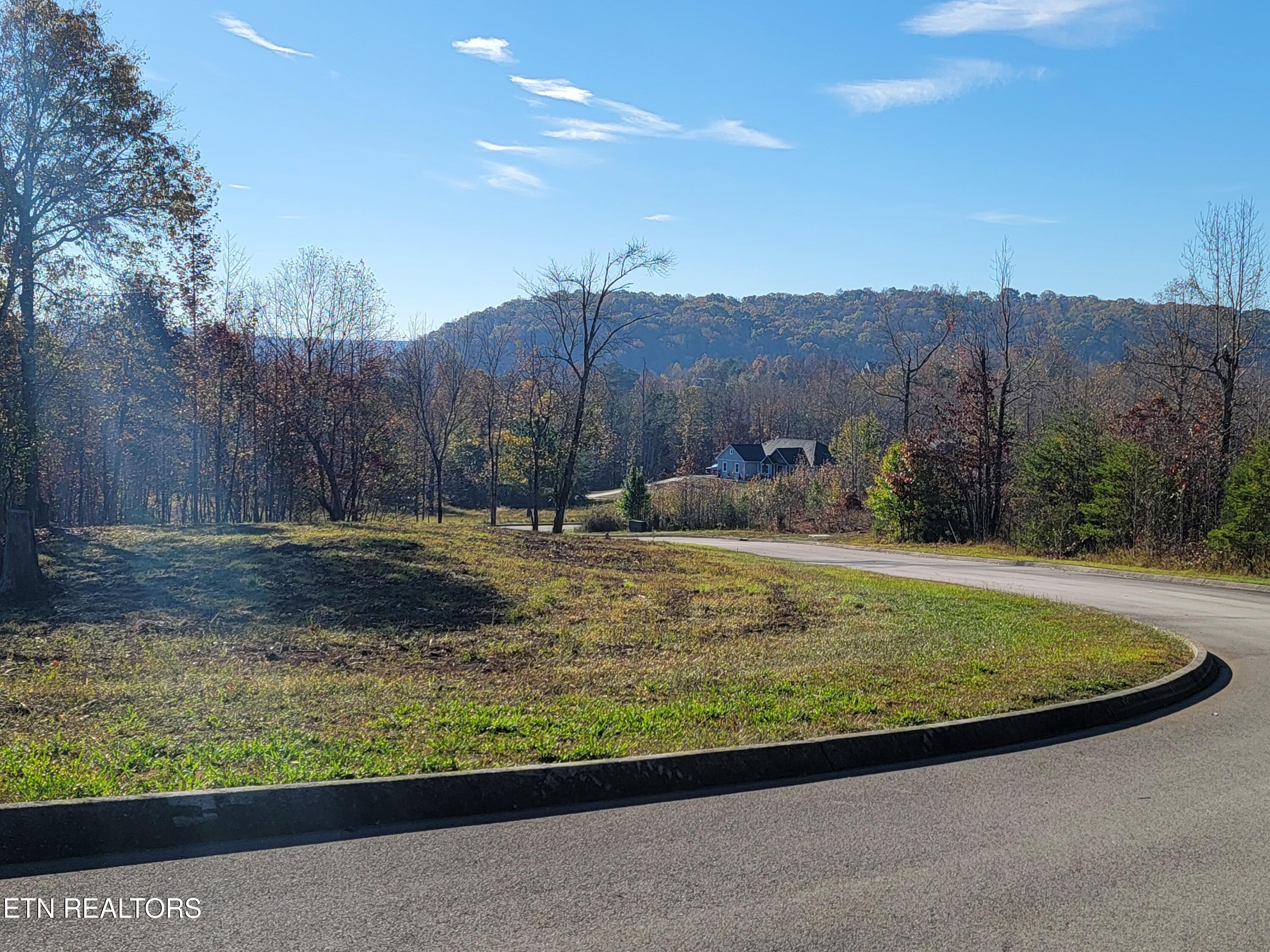 308 Caney View Drive Harriman, TN 37748 - Photo 2 of 59 Lot