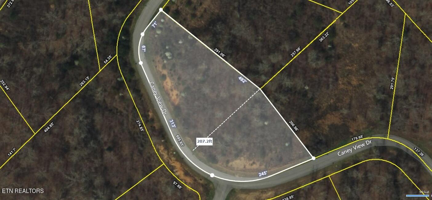 308 Caney View Drive Harriman, TN 37748 - Photo 3 of 59 4-16-24 Lot Measurements Diagram