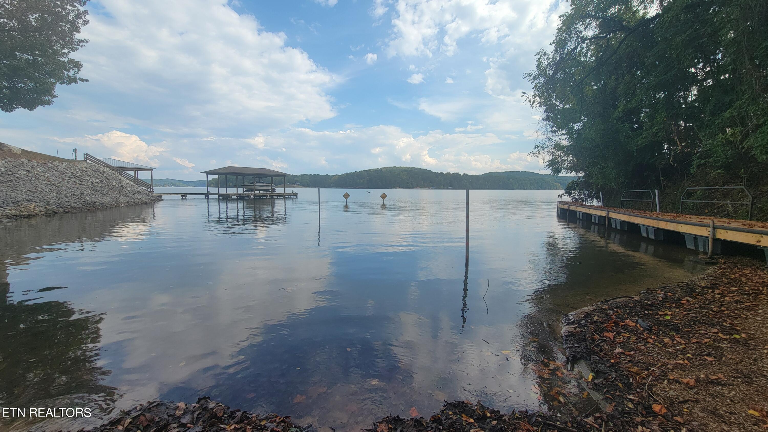 308 Caney View Drive Harriman, TN 37748 - Photo 39 of 59 Private Water Access Areas