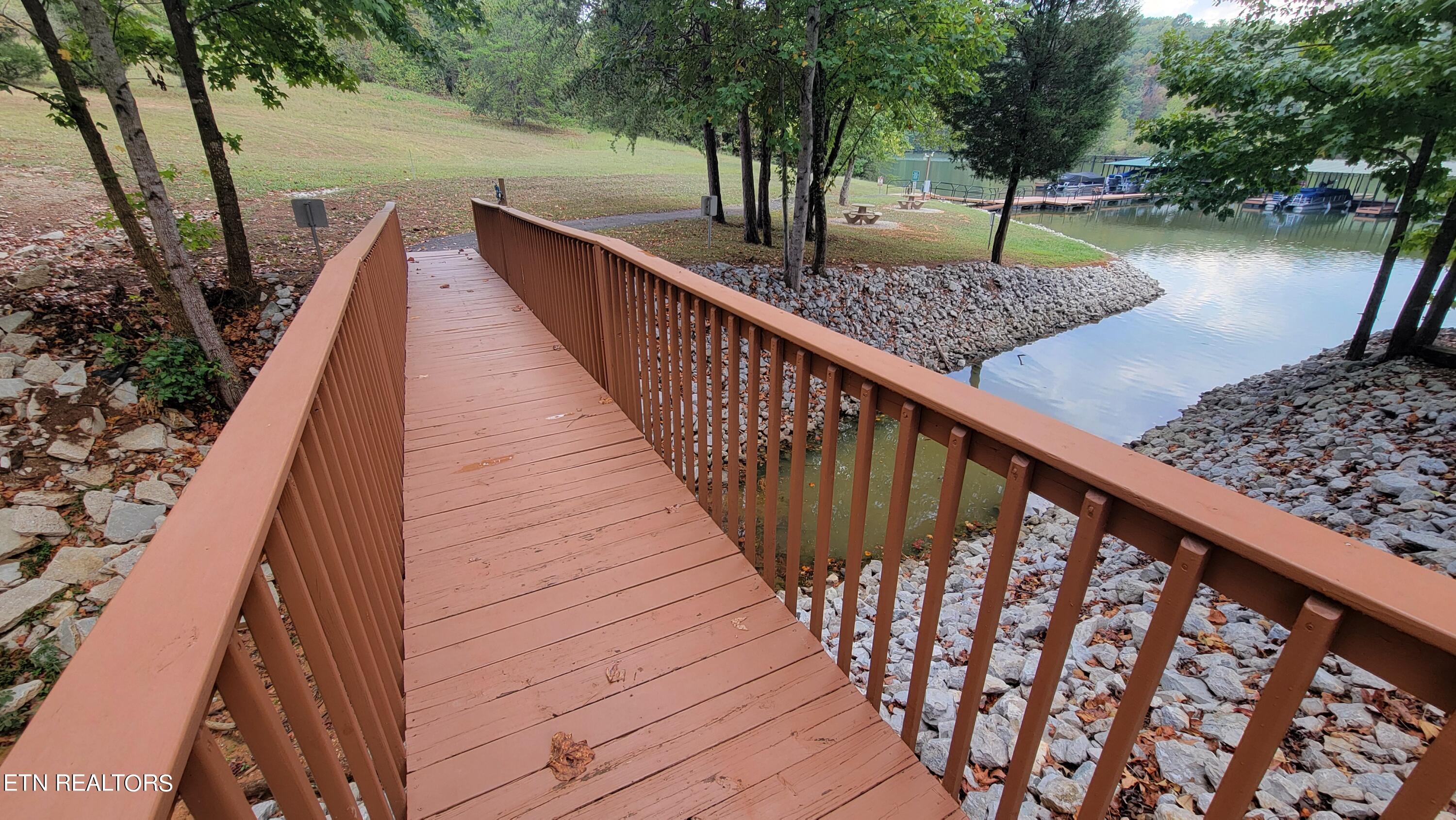 308 Caney View Drive Harriman, TN 37748 - Photo 48 of 59 Private Water Access Areas