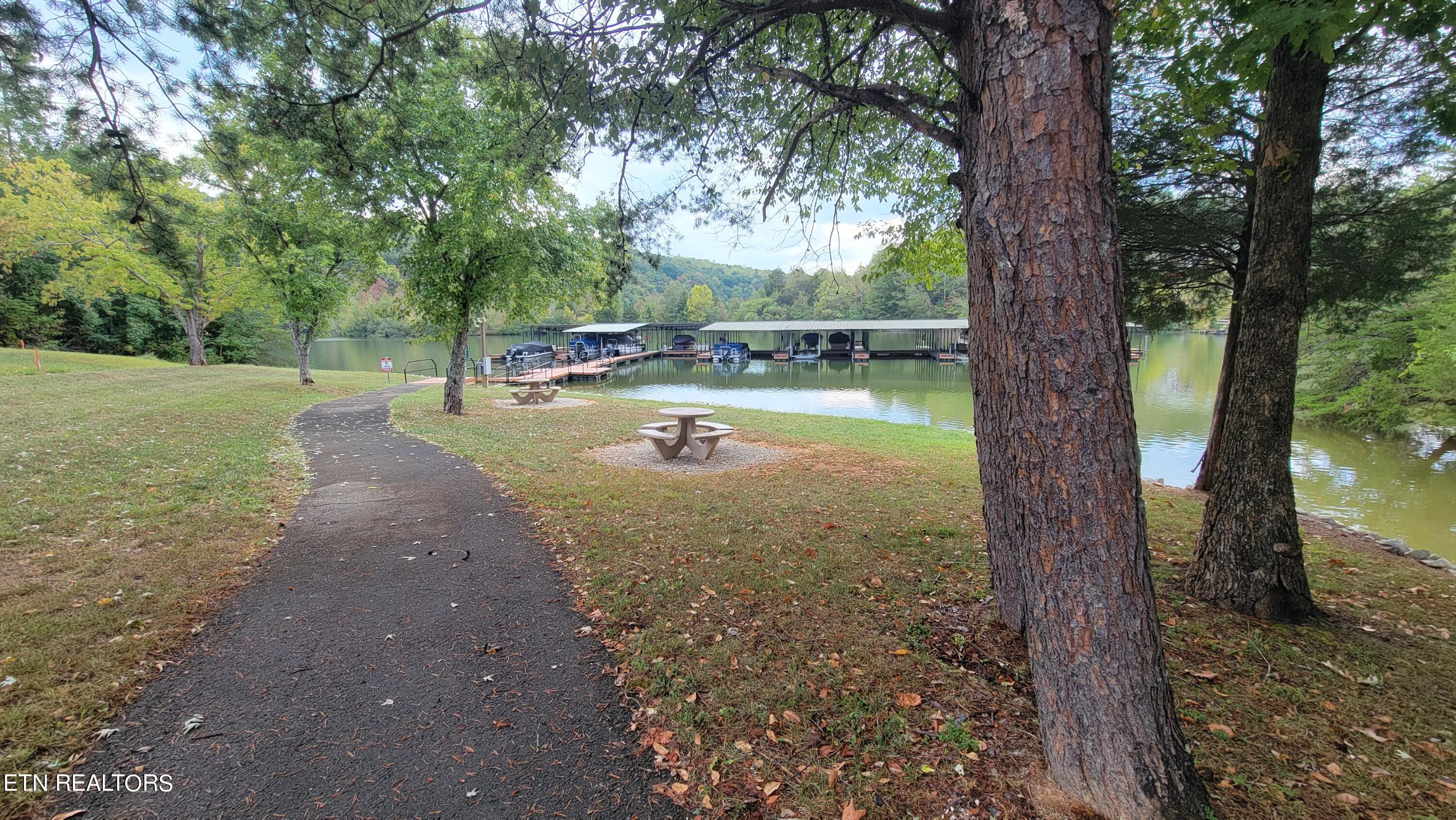 308 Caney View Drive Harriman, TN 37748 - Photo 49 of 59 Private Water Access Areas