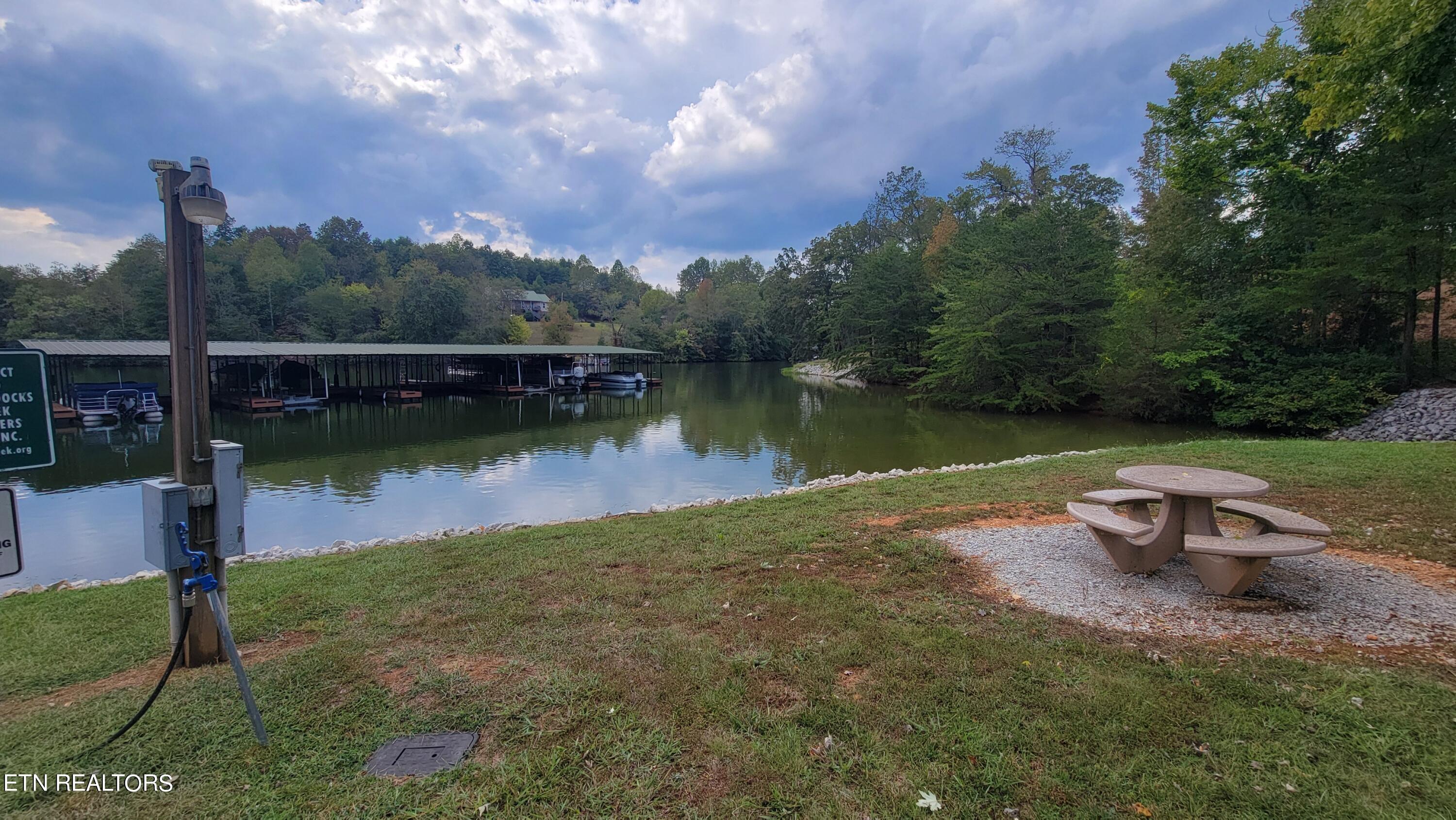 308 Caney View Drive Harriman, TN 37748 - Photo 50 of 59 Private Water Access Areas