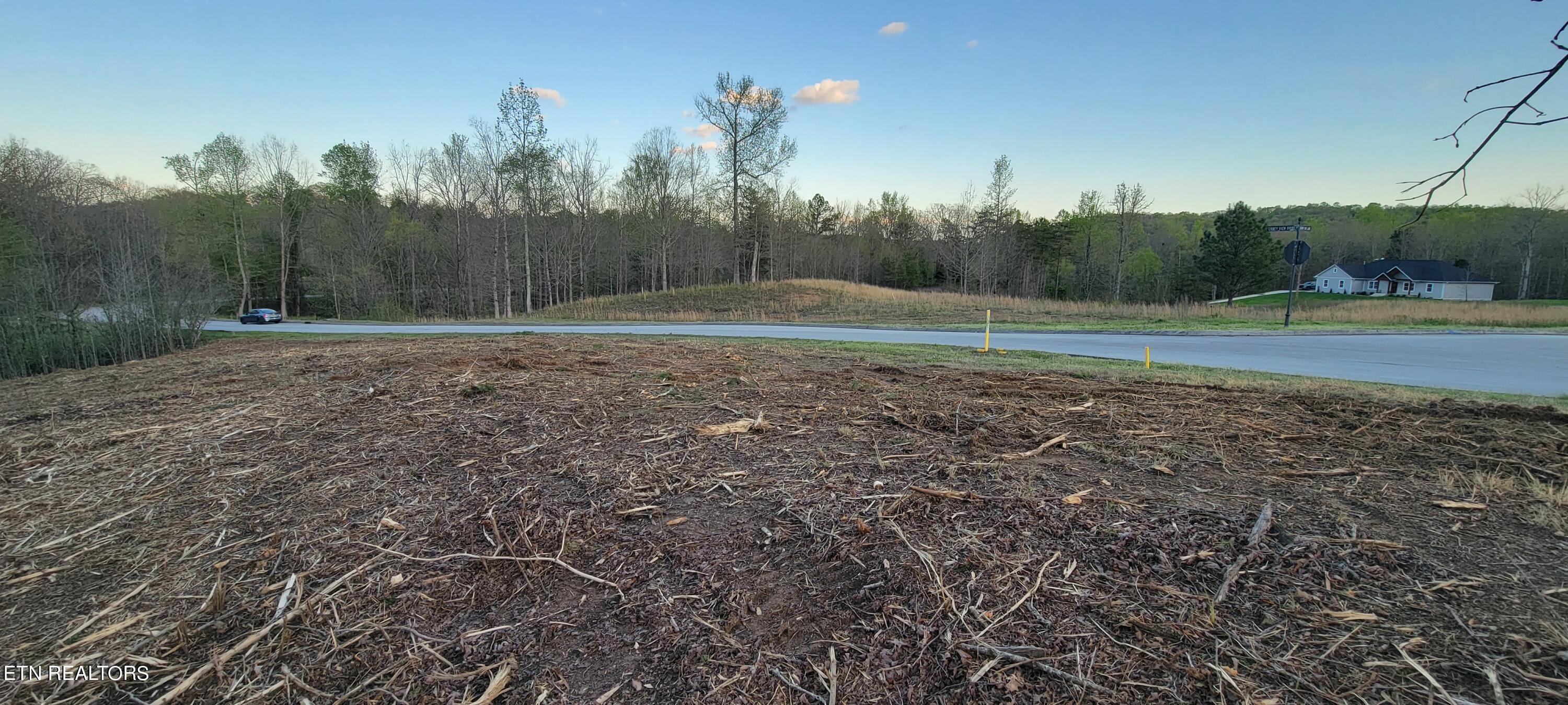 308 Caney View Drive Harriman, TN 37748 - Photo 5 of 59 20240412_193617