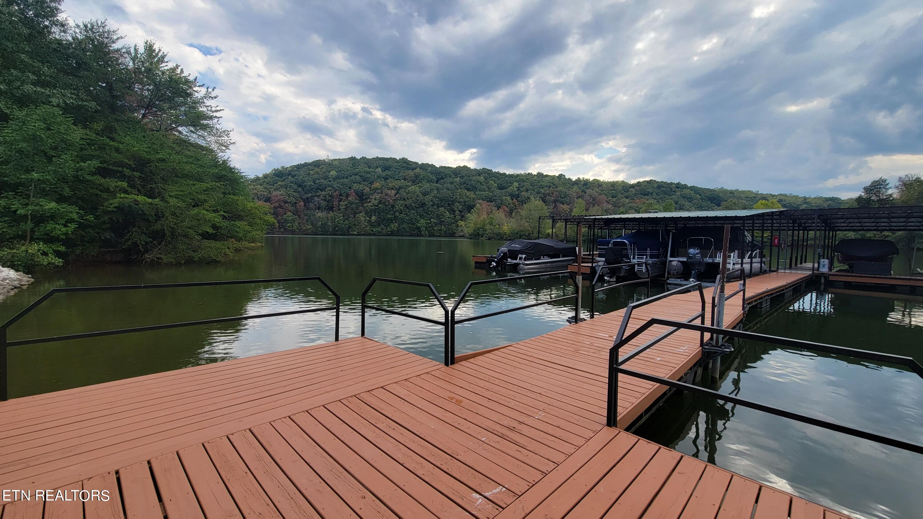 308 Caney View Drive Harriman, TN 37748 - Photo 52 of 59 Private Water Access Areas