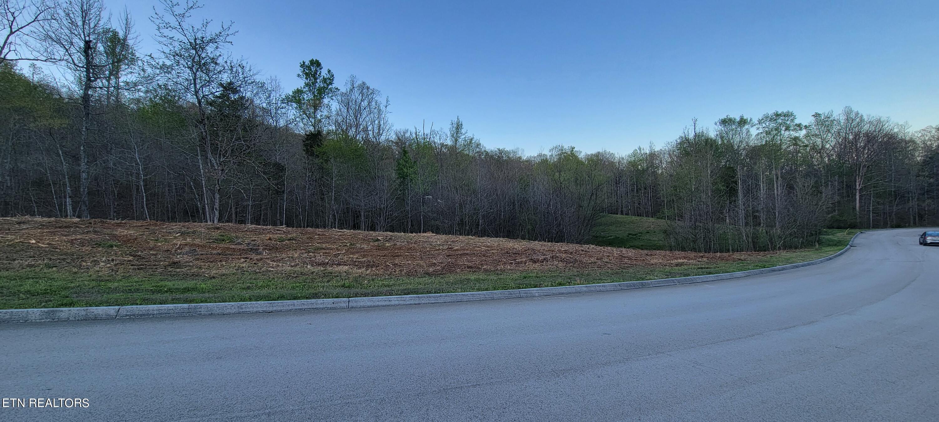 308 Caney View Drive Harriman, TN 37748 - Photo 6 of 59 20240412_193848