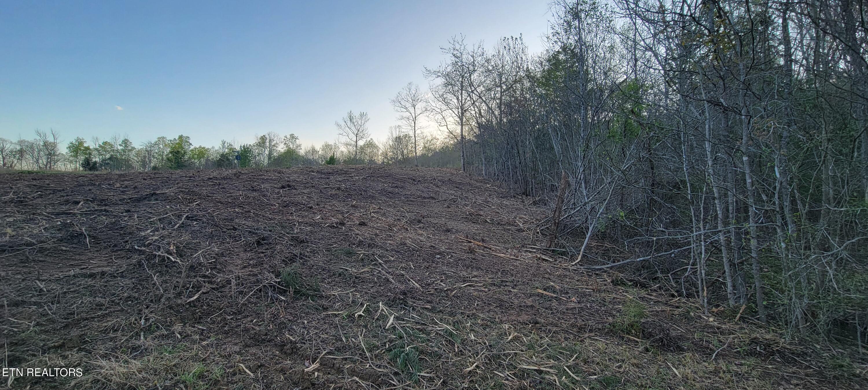 308 Caney View Drive Harriman, TN 37748 - Photo 8 of 59 20240412_193335