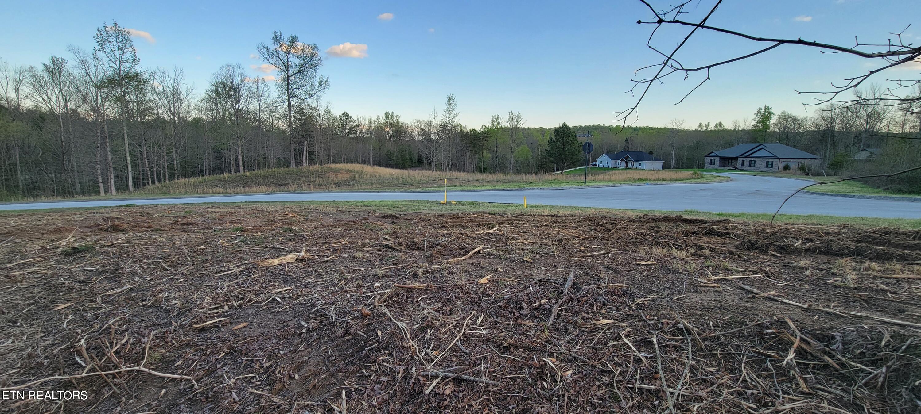 308 Caney View Drive Harriman, TN 37748 - Photo 9 of 59 20240412_193618