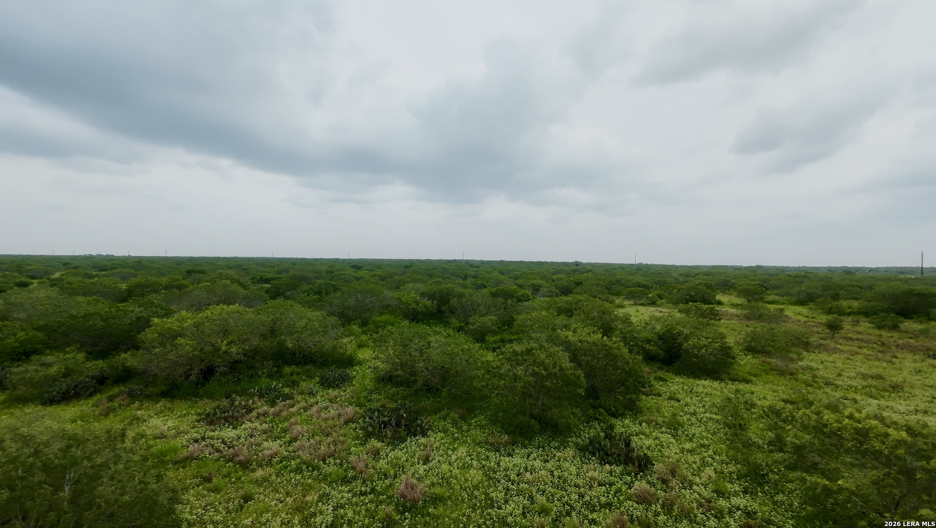 0 Farm To Market Rd 3249 Realitos, TX 78376 - Photo 8 of 14
