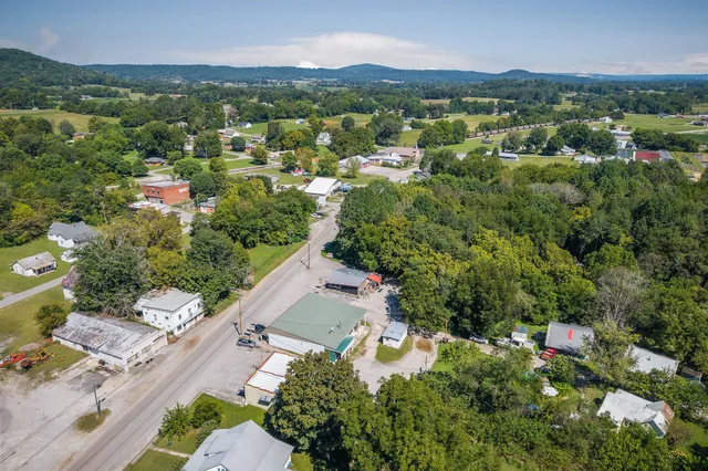 an aerial view of residential houses with outdoor space and trees