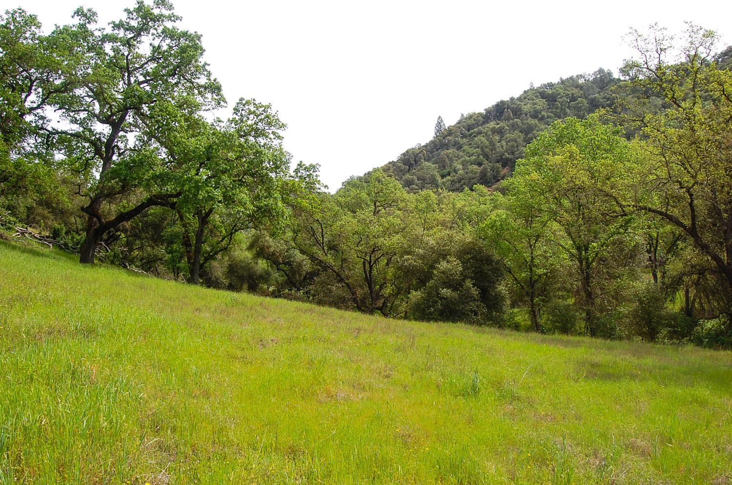 71 Hawver Road San Andreas, CA 95249 - Photo 92 of 96