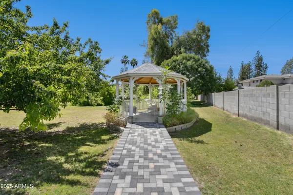 a view of a yard with plants and a fountain