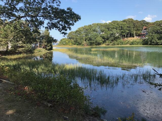 22 Wallace Point Buzzards Bay, MA 02532 - Photo 24 of 30 22 Wallace Point Tide In 2