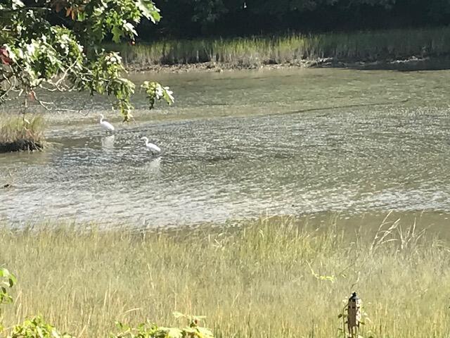 22 Wallace Point Buzzards Bay, MA 02532 - Photo 26 of 30 22 Wallace Point Tide In 3