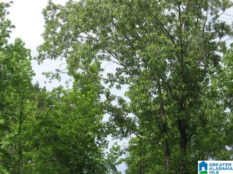 178 Olde Springs Road, Unit 24 Anniston, AL 36207 - Photo 27 of 37
