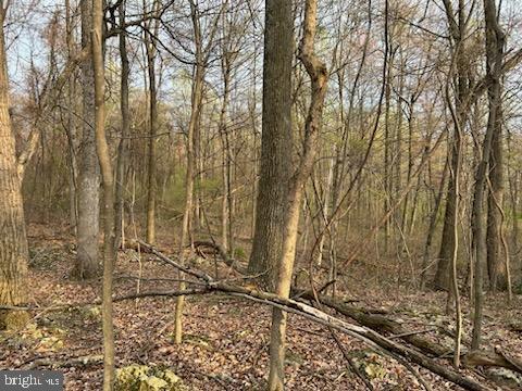 Ritchie Road Cascade, MD 21719 - Photo 15 of 17 a view of a backyard of the house