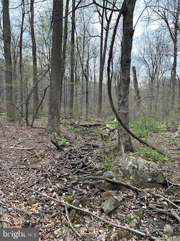 Ritchie Road Cascade, MD 21719 - Photo 17 of 17 a backyard of a house with lots of green space