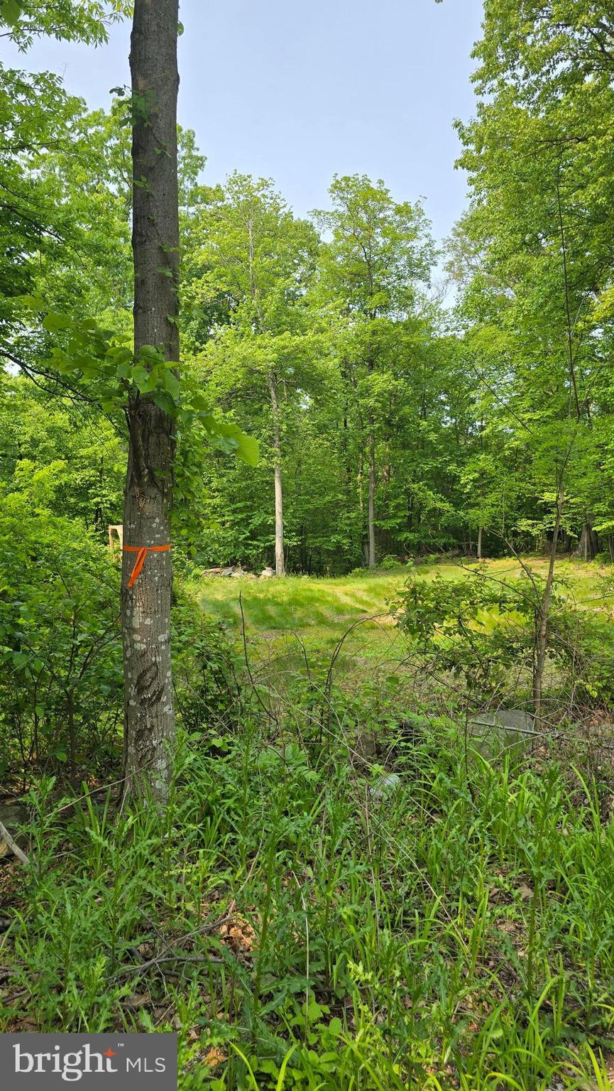 Ritchie Road Cascade, MD 21719 - Photo 6 of 17 a view of outdoor space and a yard