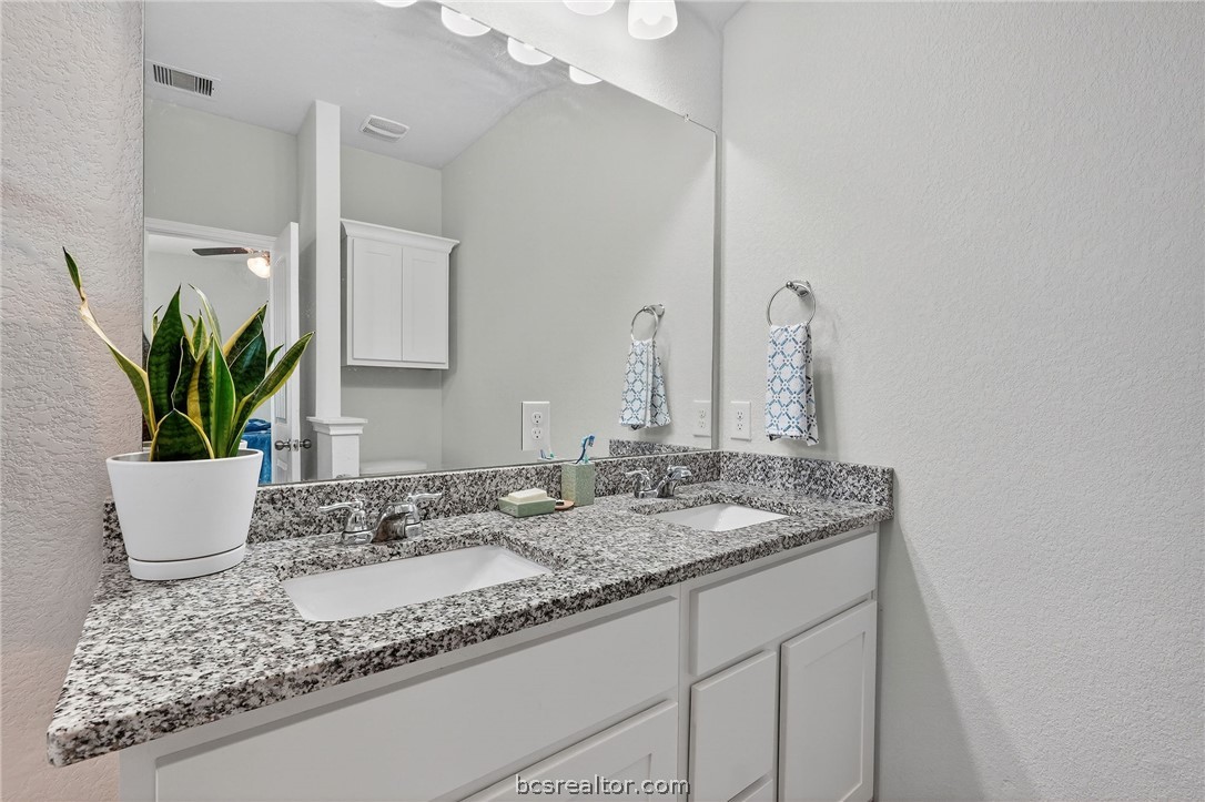 5235 Montague Loop Bryan, TX 77807 - Photo 19 of 25 a bathroom with a granite countertop sink a mirror and a potted plant