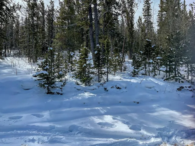 a view of a tree in a yard