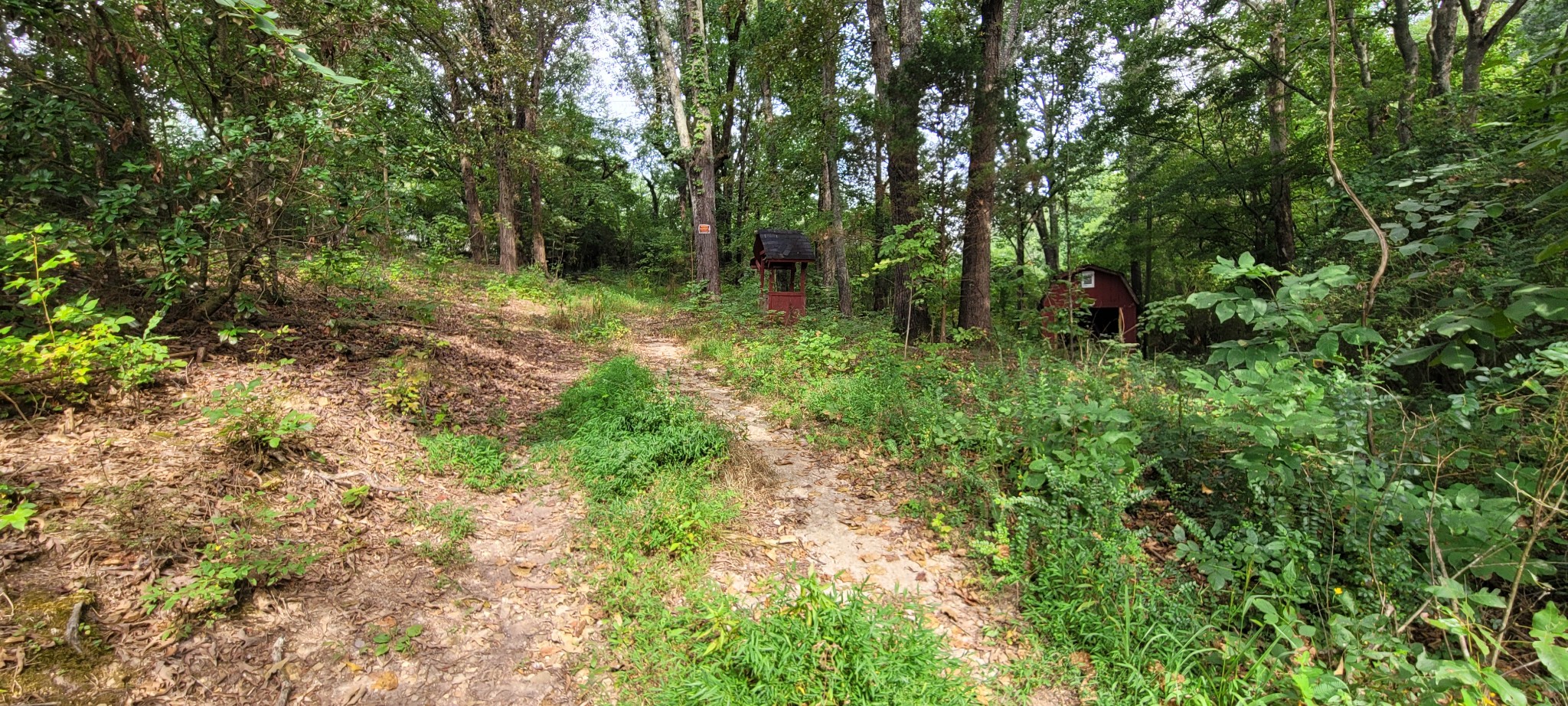 65 South Old Military Road St. Joseph, TN 38481 - Photo 1 of 17 Gallery Image 1