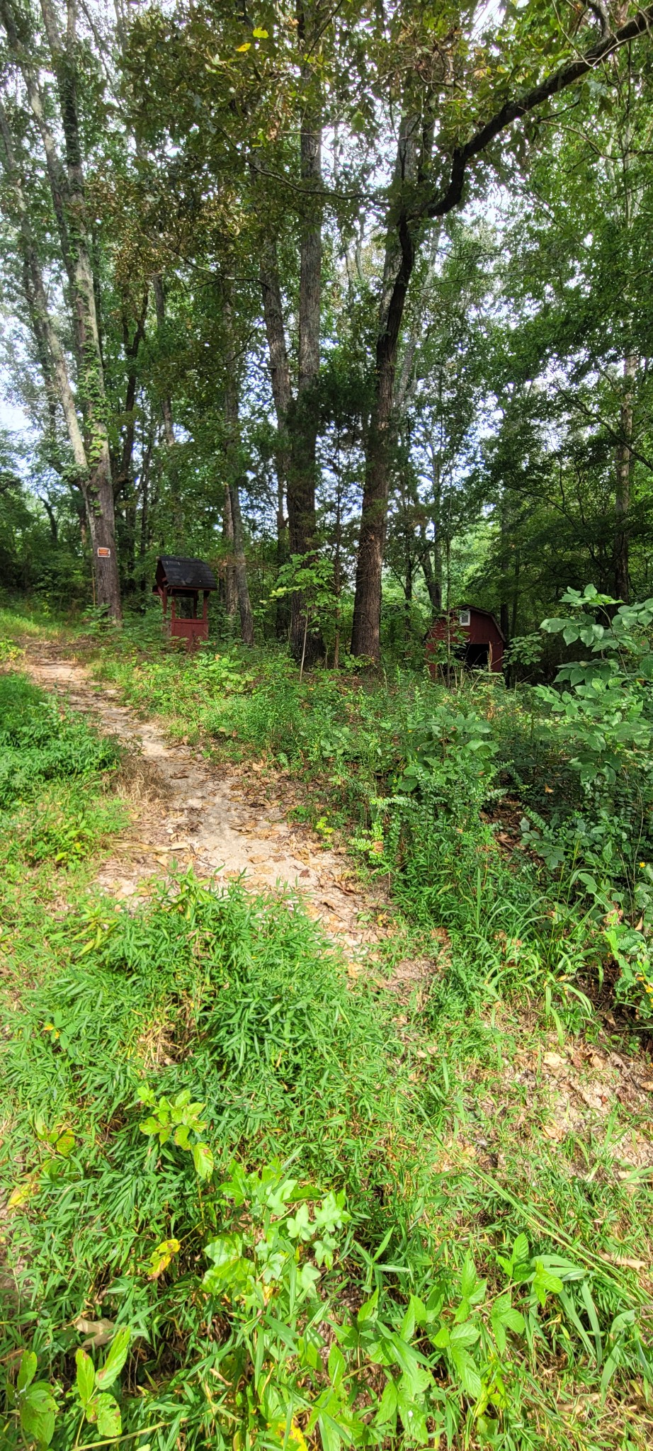 65 South Old Military Road St. Joseph, TN 38481 - Photo 11 of 17 Gallery Image 11