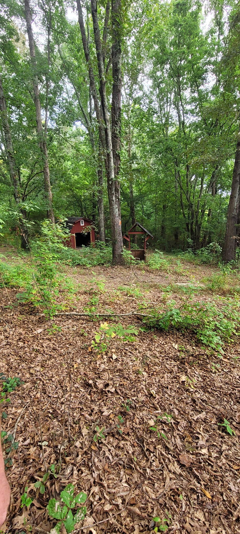 65 South Old Military Road St. Joseph, TN 38481 - Photo 12 of 17 Gallery Image 12