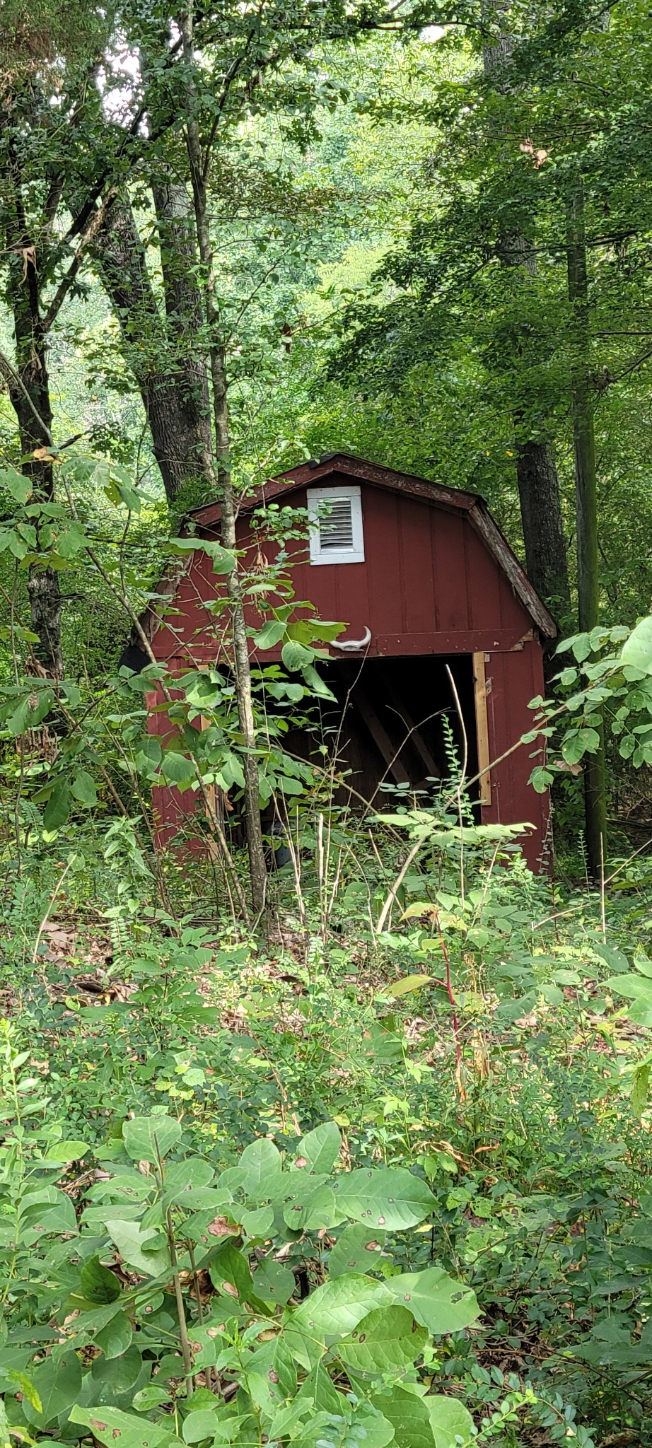 65 South Old Military Road St. Joseph, TN 38481 - Photo 3 of 17 Gallery Image 3