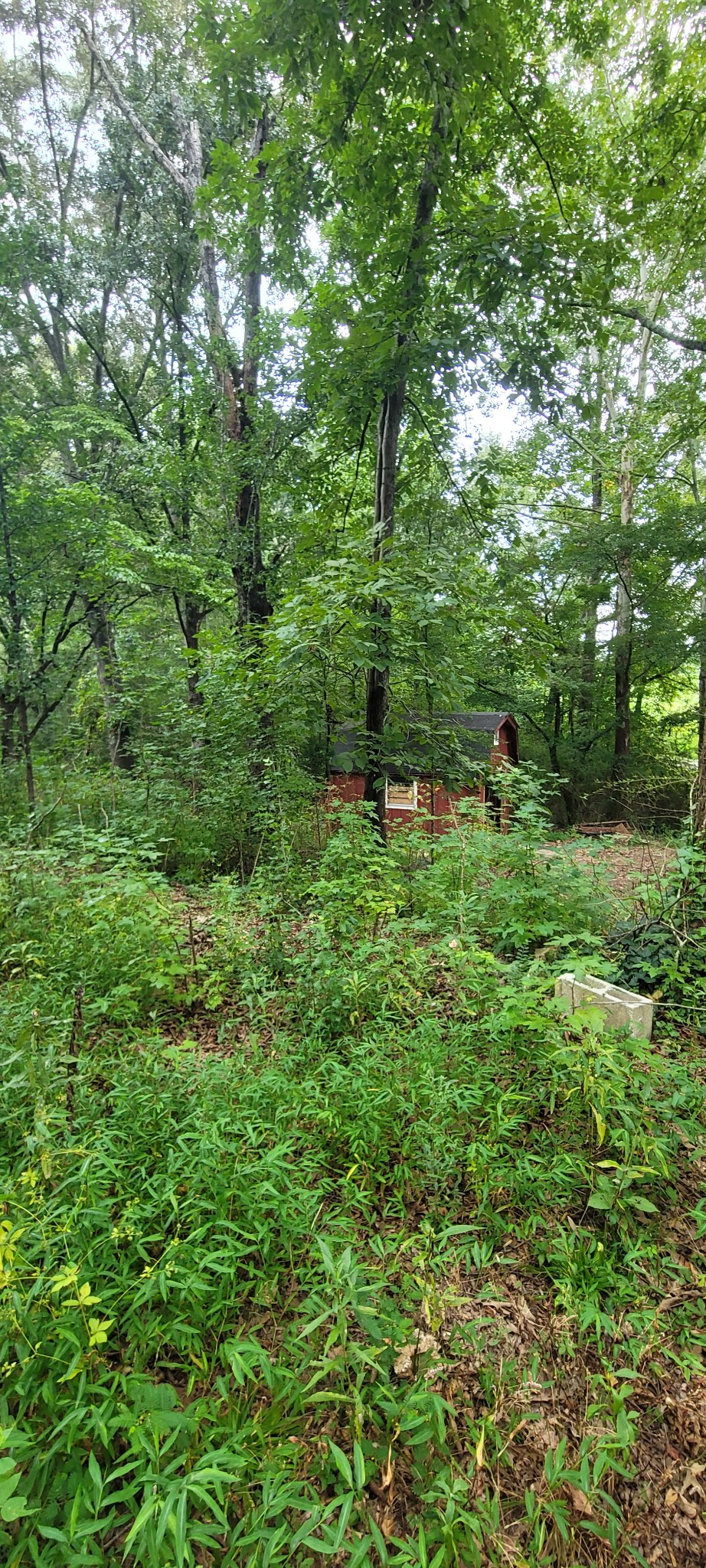 65 South Old Military Road St. Joseph, TN 38481 - Photo 7 of 17 Gallery Image 7