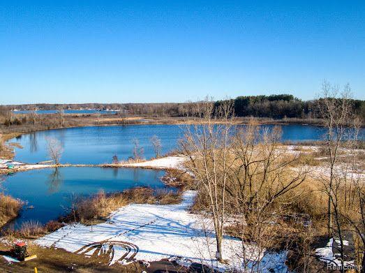 3450-hooker East Whitewood Road Pinckney, MI 48169 - Photo 6 of 29