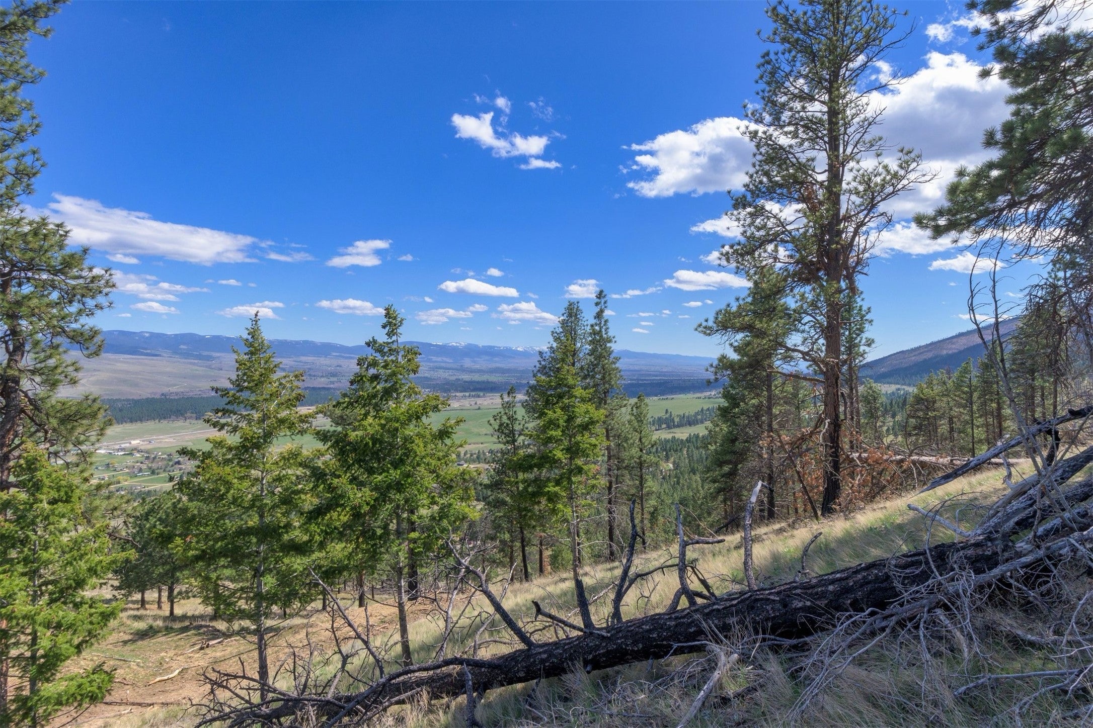 15100 Rock Ridge Road Florence, MT 59833 - Photo 49 of 53 Gallery Image 49