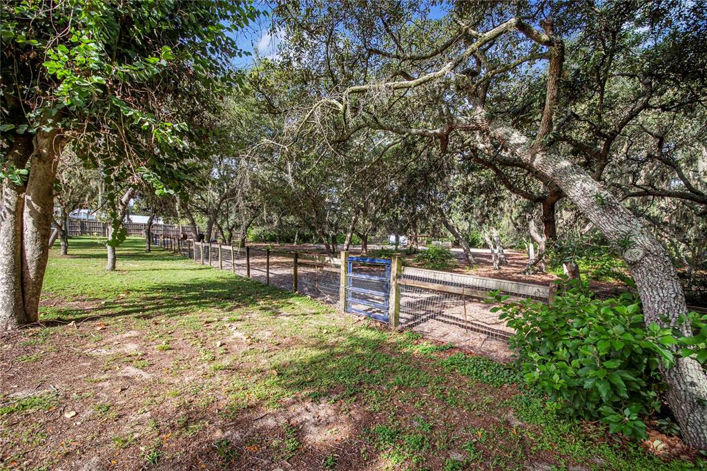 10740 Jim Edwards Road Haines City, FL 33844 - Photo 42 of 66