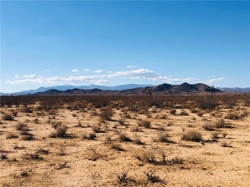 2 Venus Joshua Tree, CA 92252 - Photo 2 of 9 a view of a city