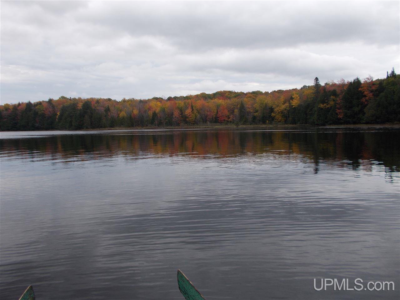 Clark Lake Jack Spurr Road Wakefield, MI 49968 - Photo 6 of 20