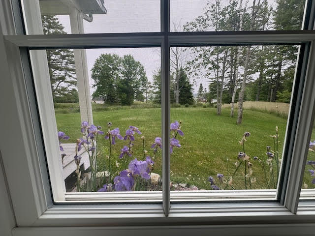 49 Fort Point Cove Road Stockton Springs, ME 04981 - Photo 33 of 71 unnamed (35)