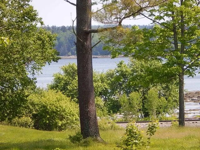 $565,000 | 49 Fort Point Cove Road, Stockton Springs, ME 04981