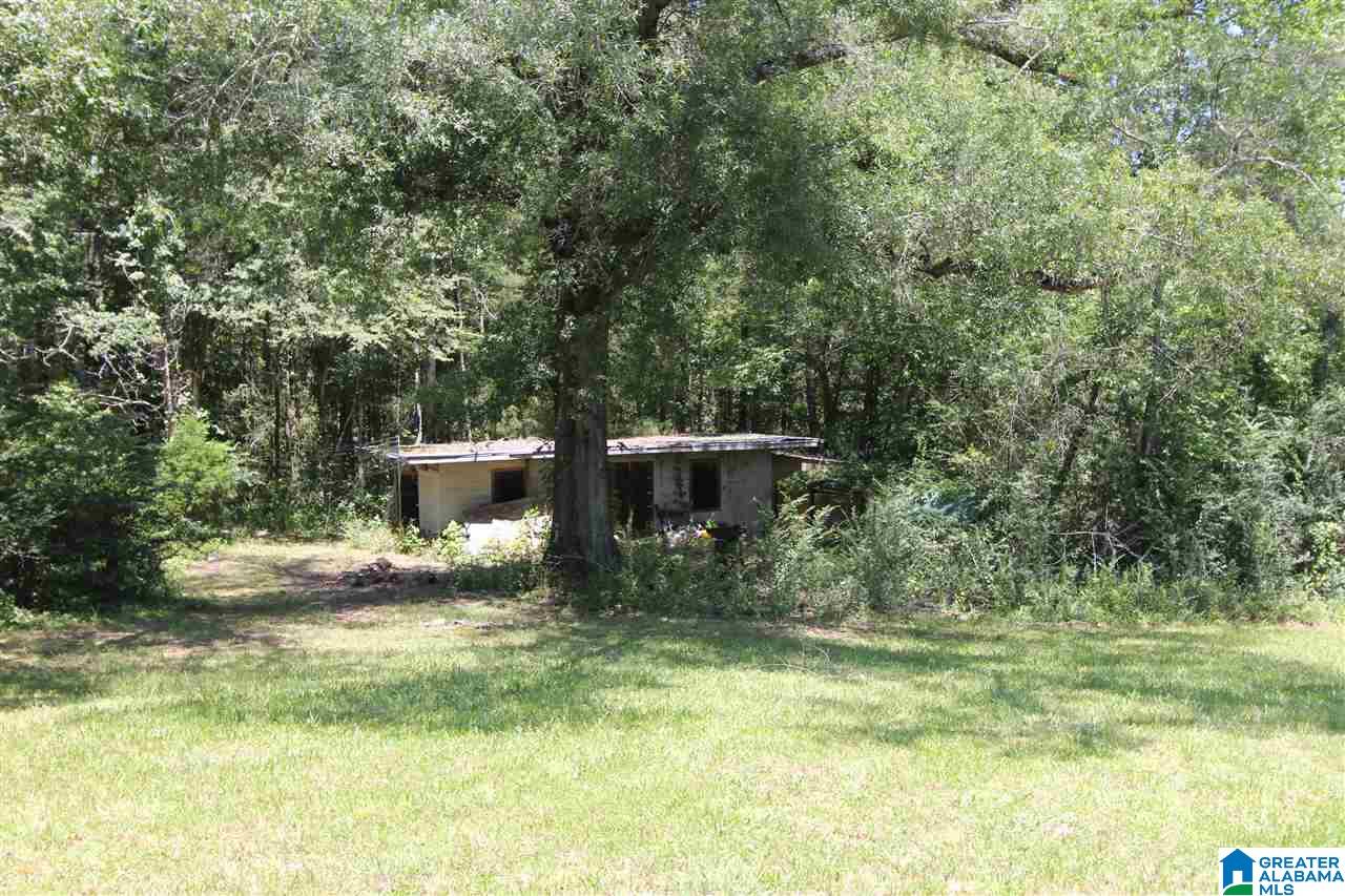 4363 Old Sulphur Springs Road Wellington, AL 36279 - Photo 28 of 37