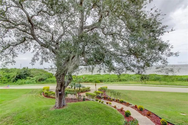 $15,000 | 1205 North Bayshore Drive, Safety Harbor, FL 34695